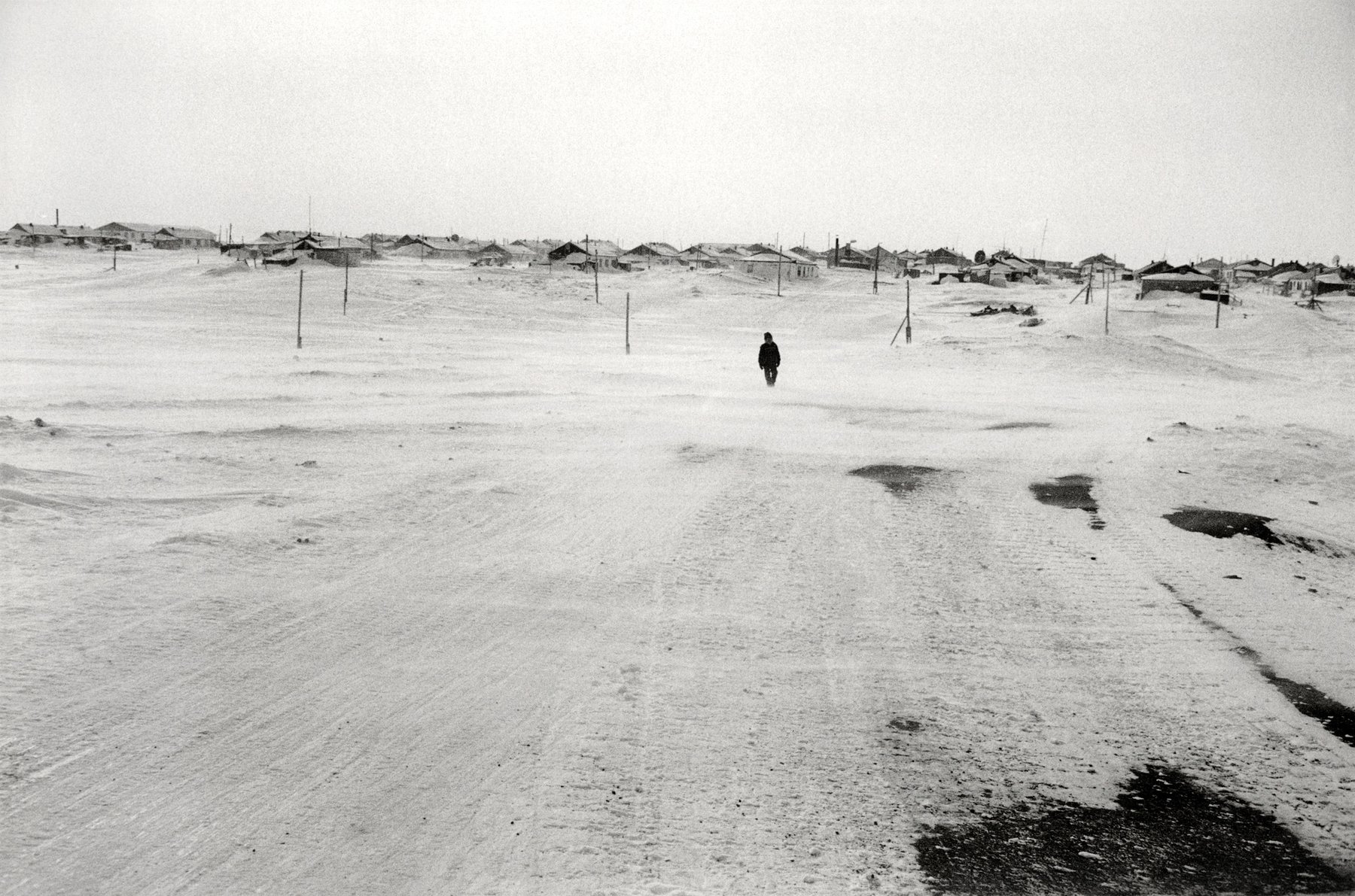 Sentinelles de l'Arctique - Noir et blanc