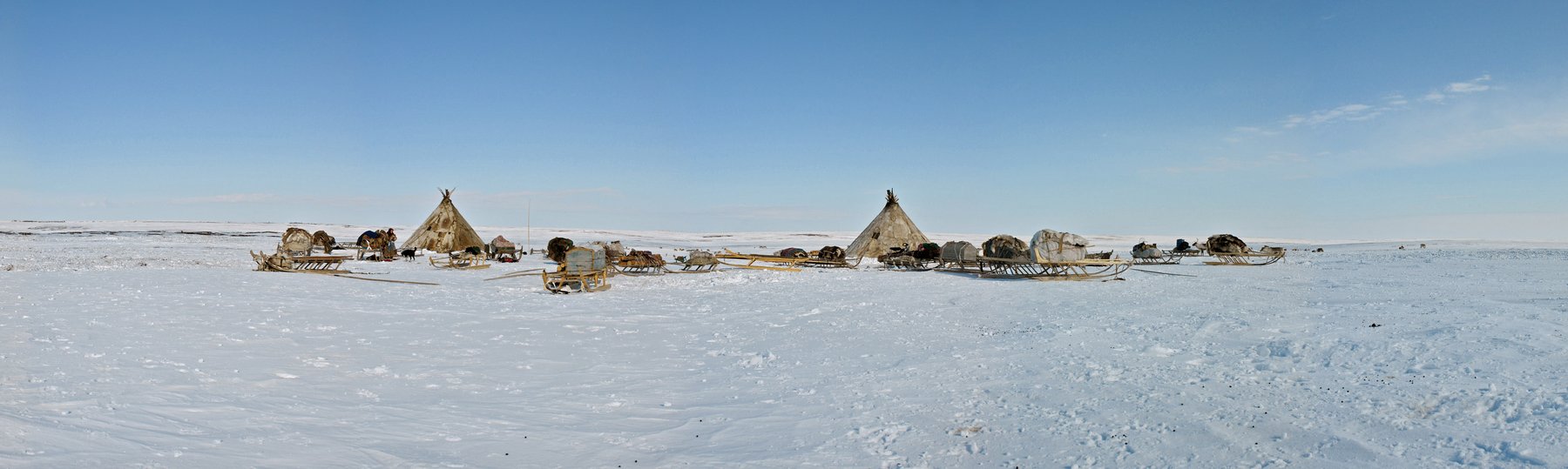 Sentinelles de l'Arctique